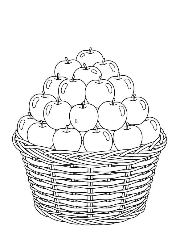 Bountiful Apple Collection Basket