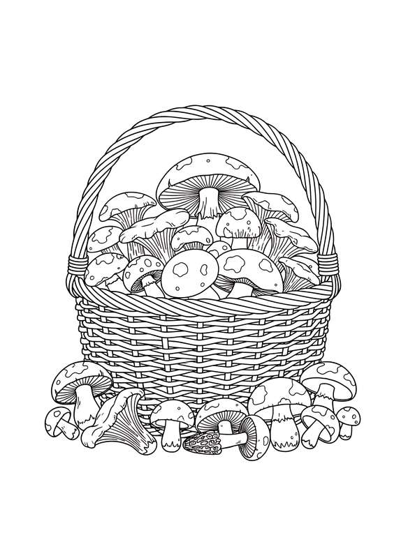 The Harvest Basket Overload