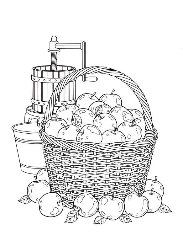 Cider Press Ready: Overflowing Apple Basket