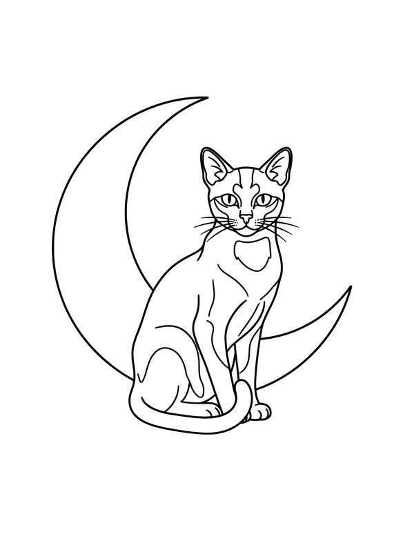 Celestial Companion: Bombay and Moon