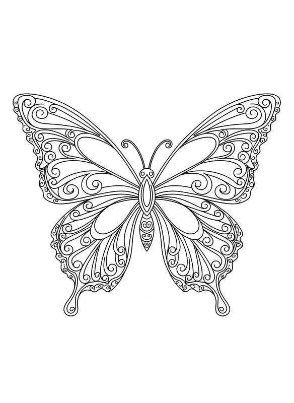 Lace and Swirl Elegance