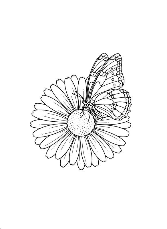 Butterfly Kisses on a Wide Bloom