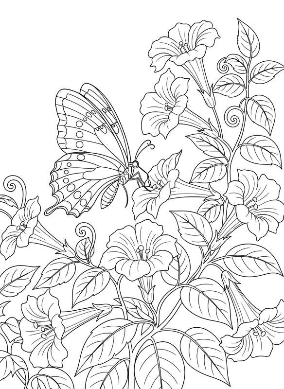 Nectar Sip in the Garden