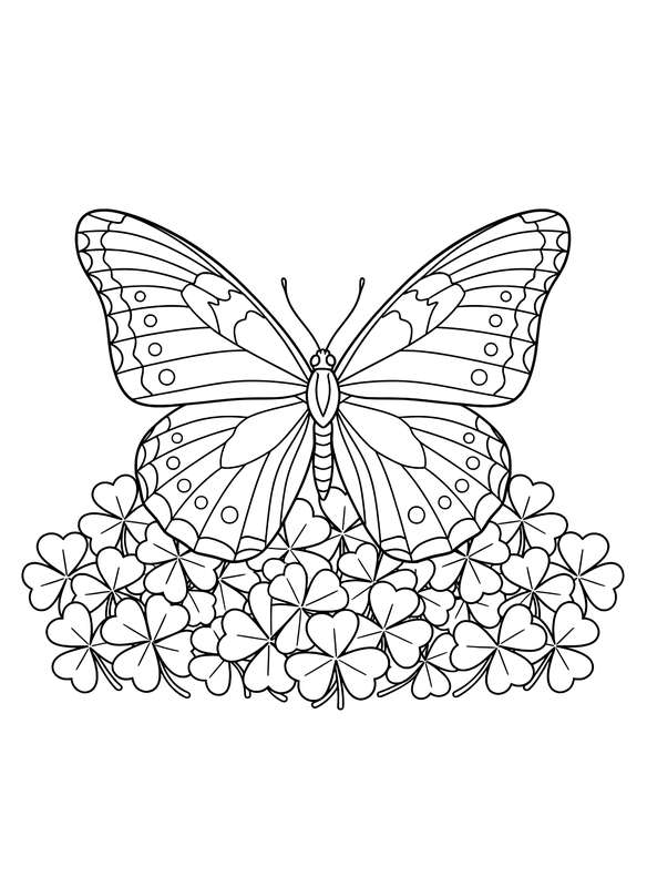 Clover & Symmetrical Wings