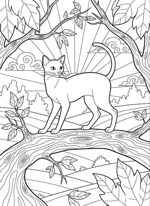 Graceful Branch Perch