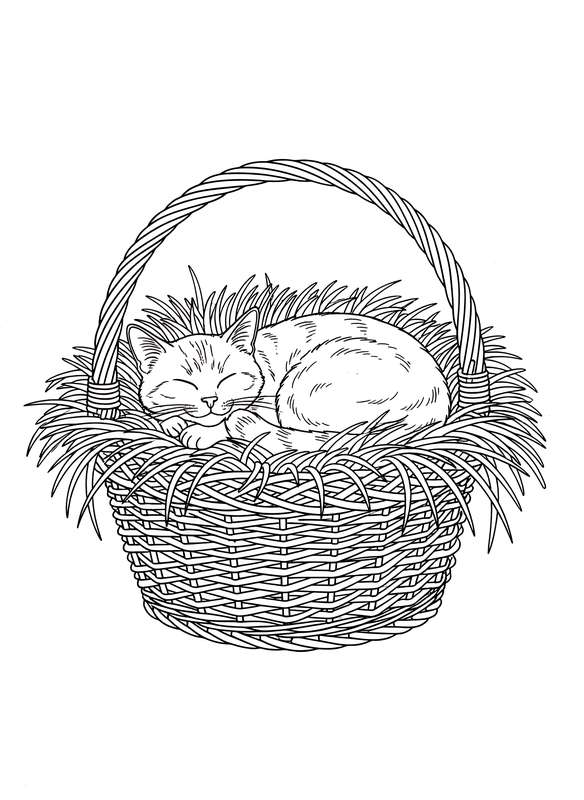Wicker Basket Serenity