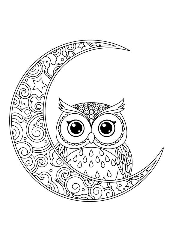 Moonbeam Peeking Owl