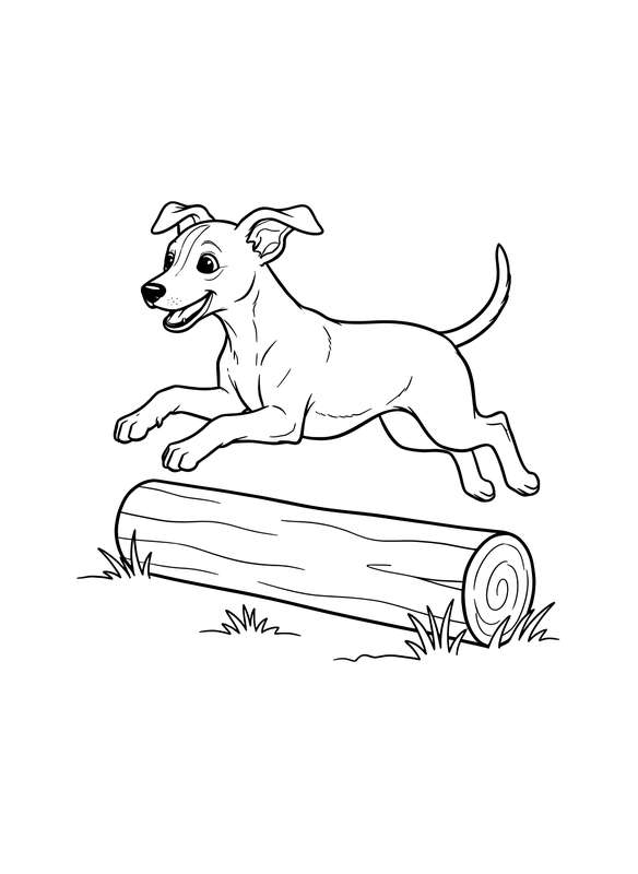 The Leaping Whippet Adventure