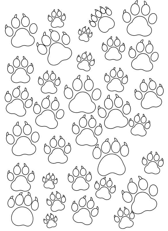 Scattered Little Paw Prints Trail