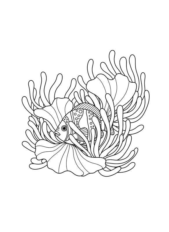 Sneaky Tropical Hiding Spot