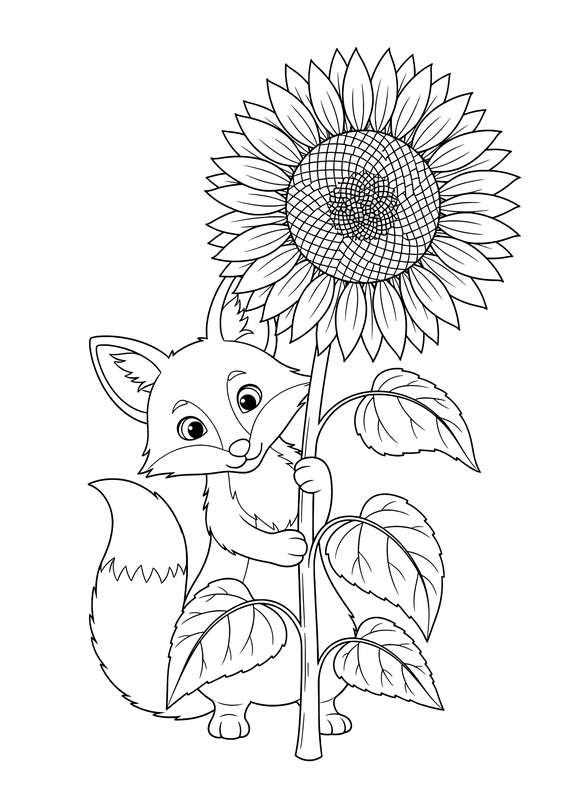 Sunflower Peeking Adventures