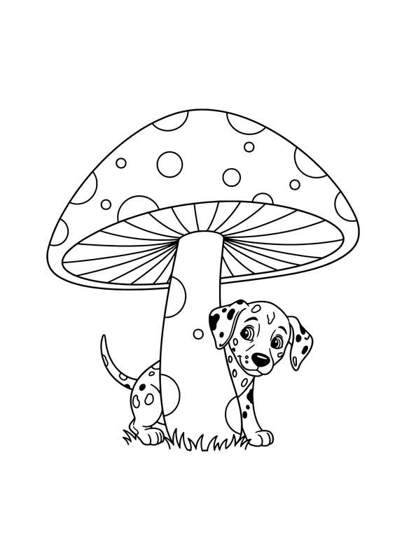 Spotted Peek-a-Boo Delight