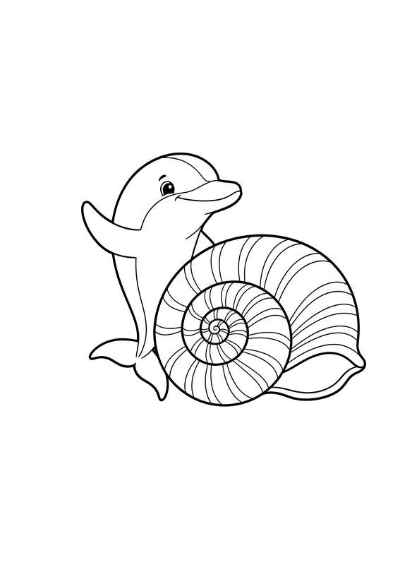 Dolphin Hello by the Seashell
