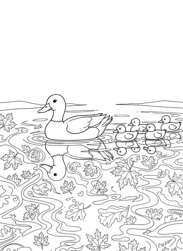 Pond Reflections: Family of Autumn Ducks