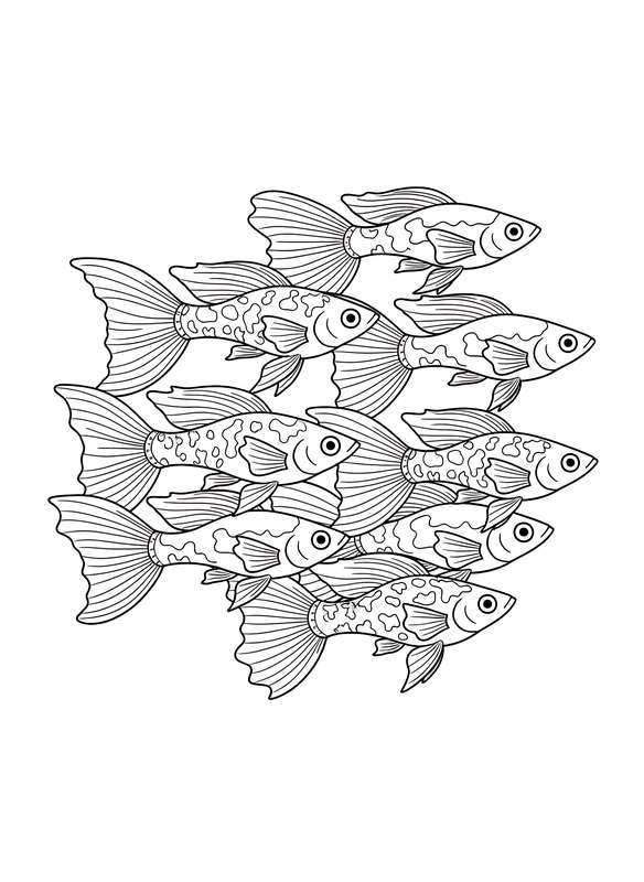 Guppy Family Swim Line