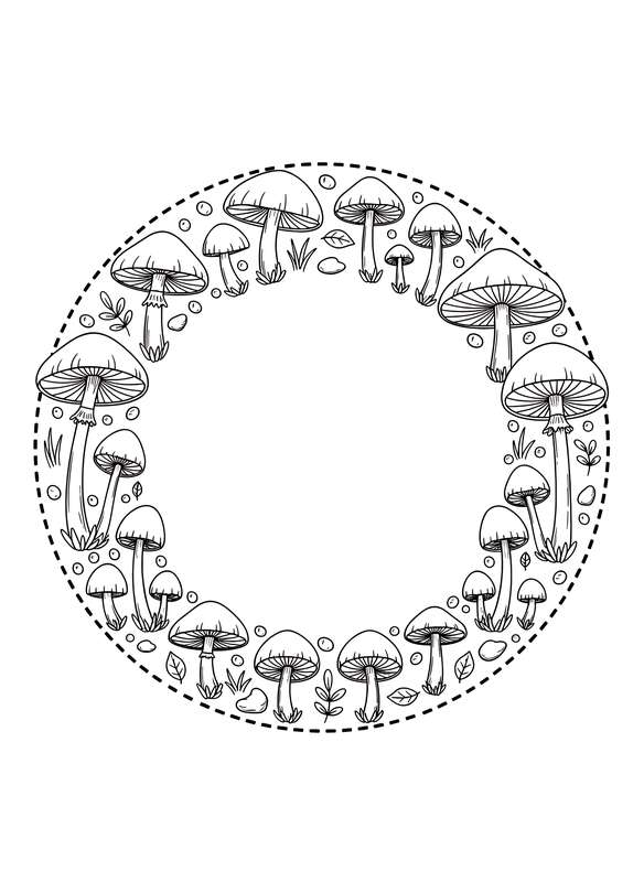 Enchanted Fairy Ring Circle