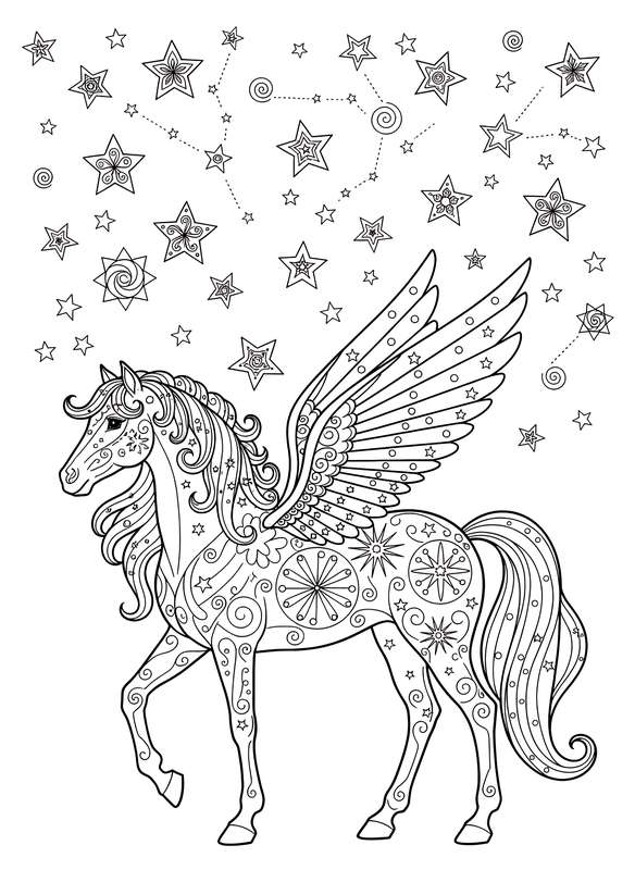 Winged Fantasy Horse Starlight