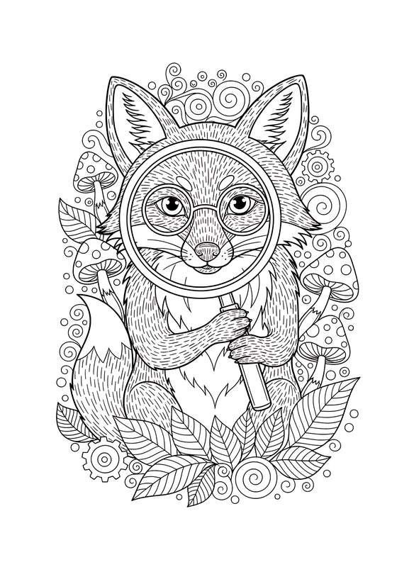 Magnifying Glass Explorer