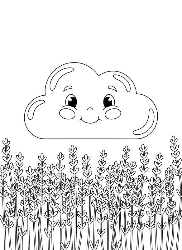 Cloud Floats Over Lavender