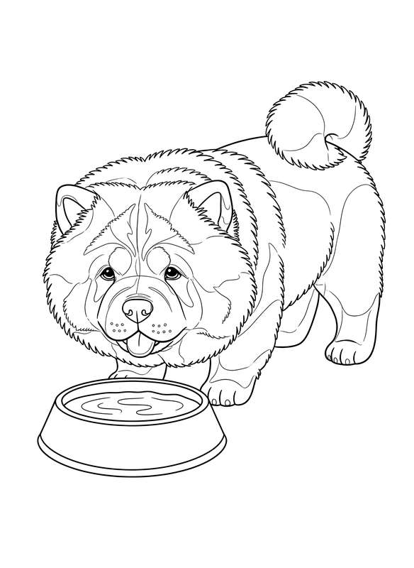 Chow Chow's Cool Drink