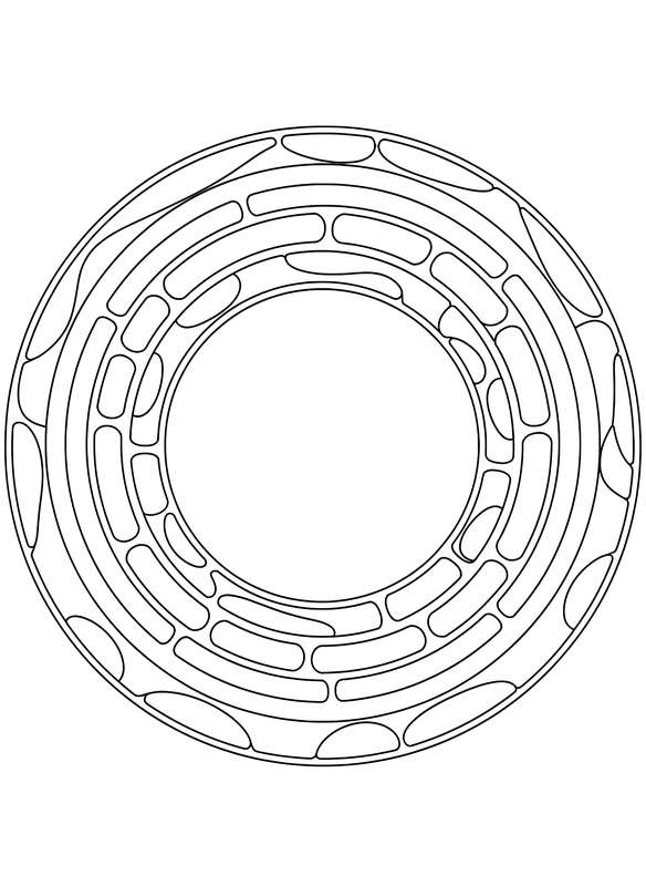 Perfect Circle of Color