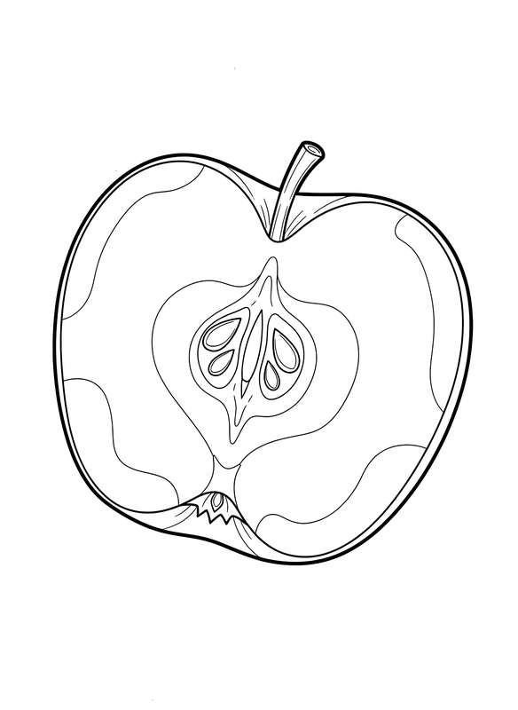The Anatomy of a Perfect Apple