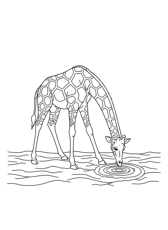 Hoof Art in the Savannah Sand