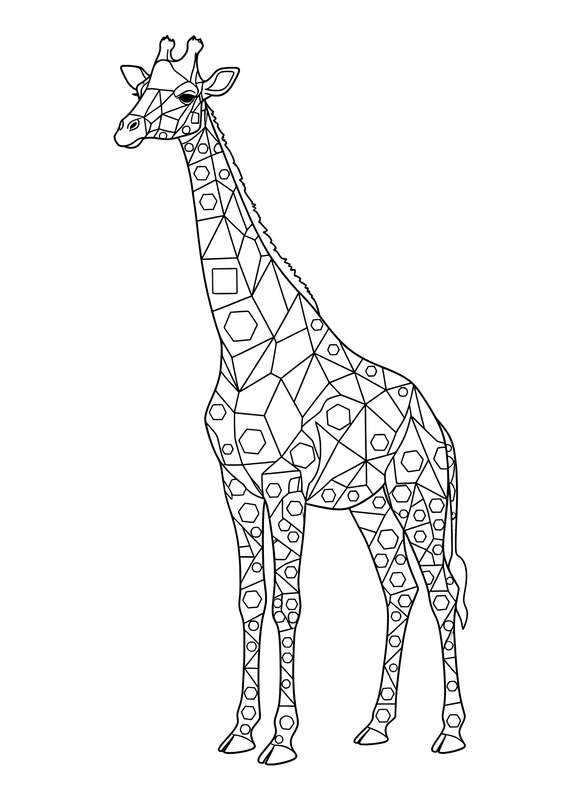 The Modern Geometric Giraffe