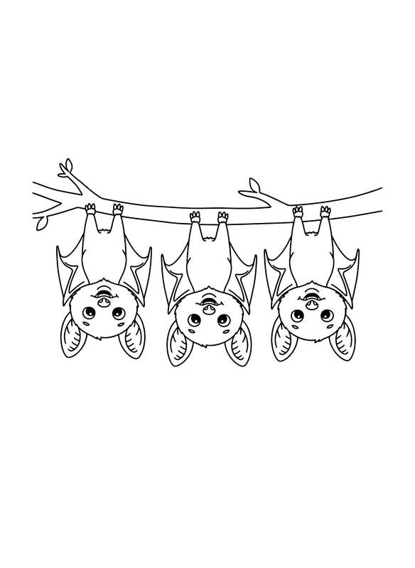 Hanging Out with the Night Bats