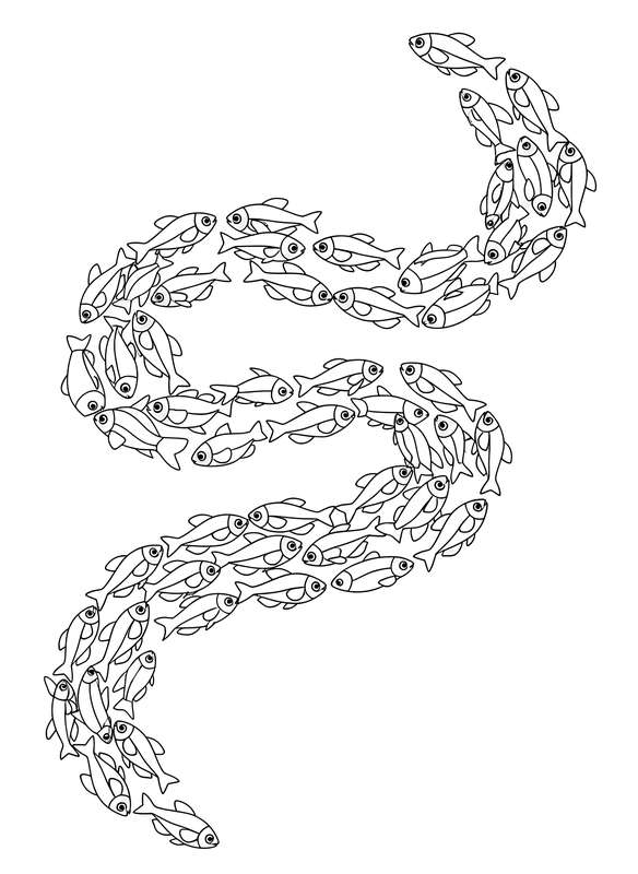 Neon Tetra Wiggle Line