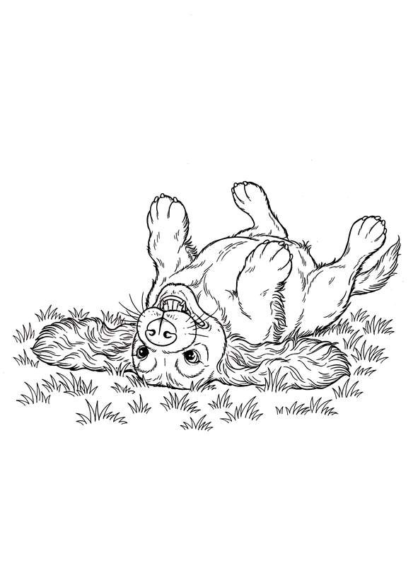 Spaniel's Grassy Roll