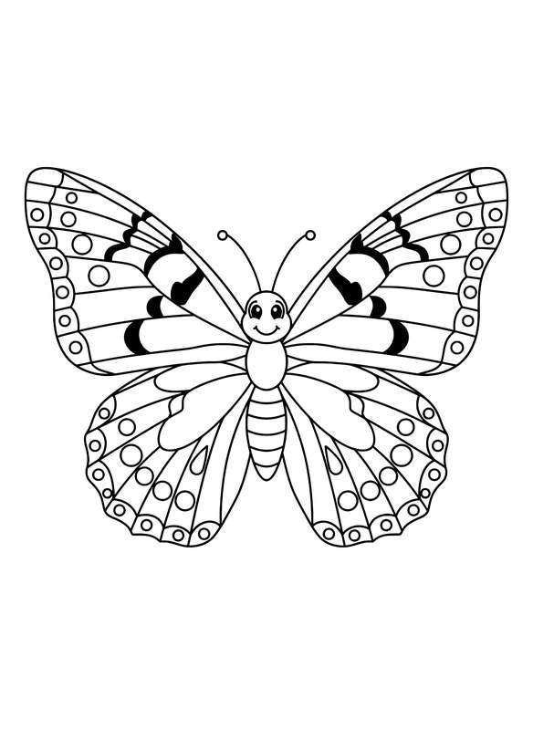 Painted Lady Symmetrical View