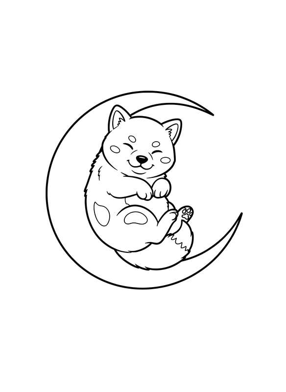 Shiba Moon Dreamer