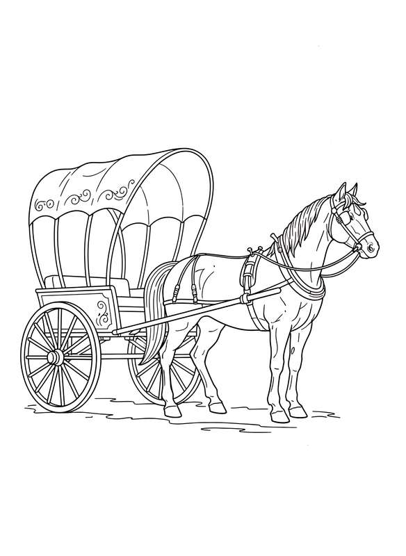 Horse and Cart Country Ride