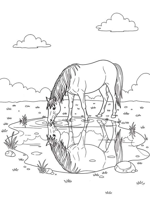 Pondside Horse Reflection Calm