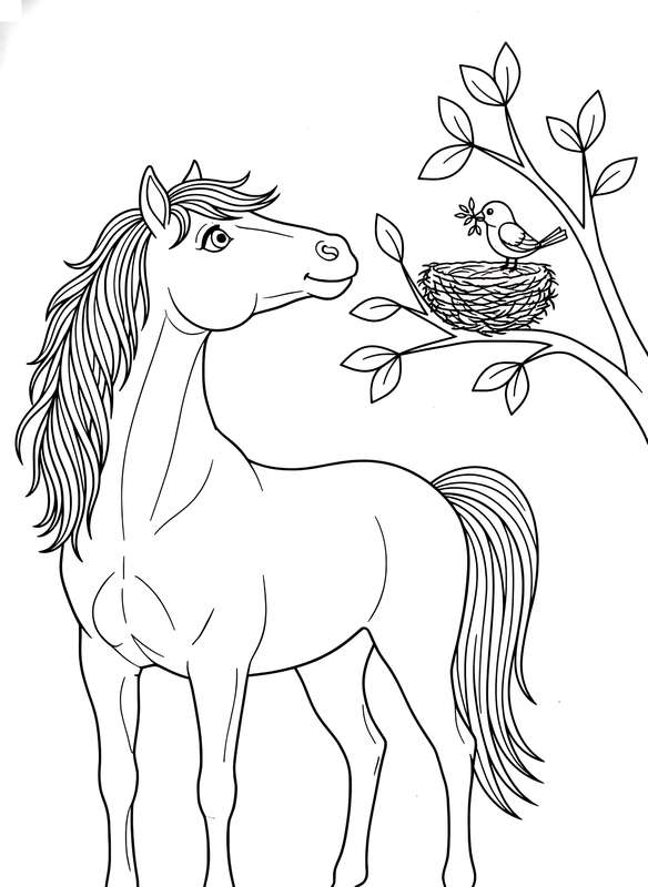 Bird-Nest Watching Horse