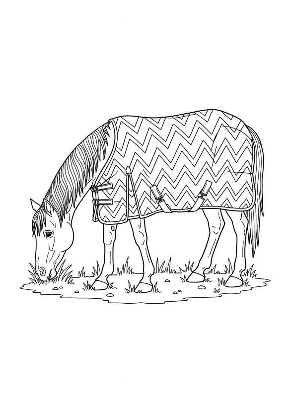 Zigzag Blanket Grazing Horse