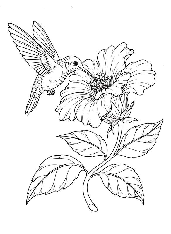 Nectar Delight: Hummingbird Visit