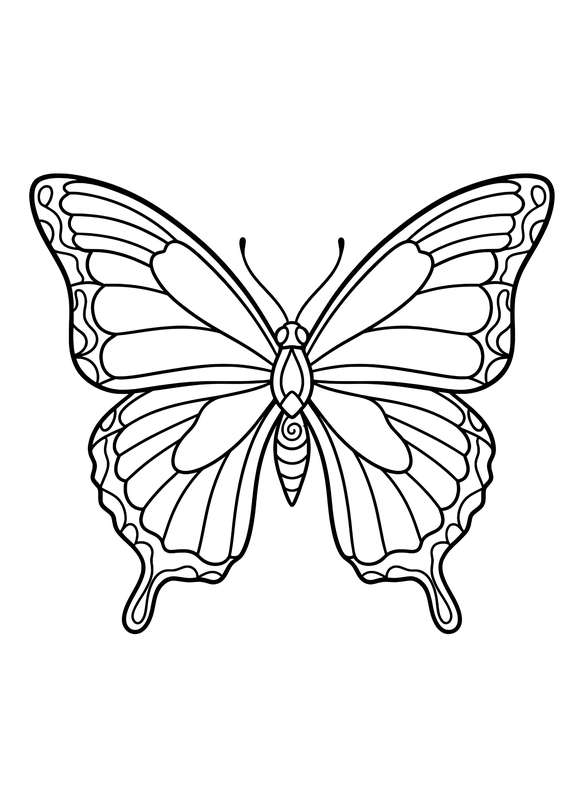 Bold Statement Wall Art Butterfly