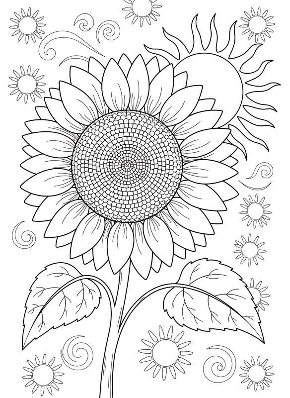 Giant Sunflower Facing the Light