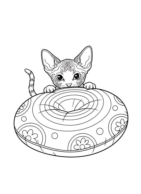 Velvet Hideout: Cornish Rex Peek-a-Boo