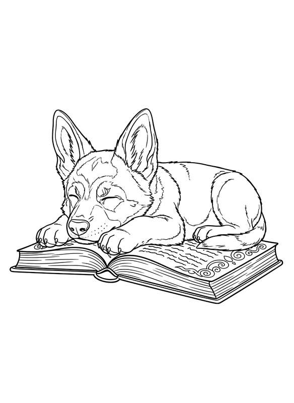 Puppy Scholar: German Shepherd Naps