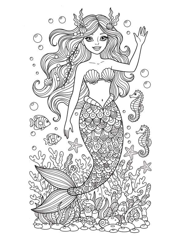 Vibrant Scales Welcome