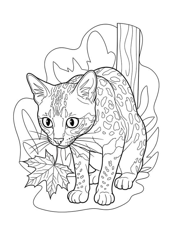 Spotted Scrutiny: Ocicat and Leaf