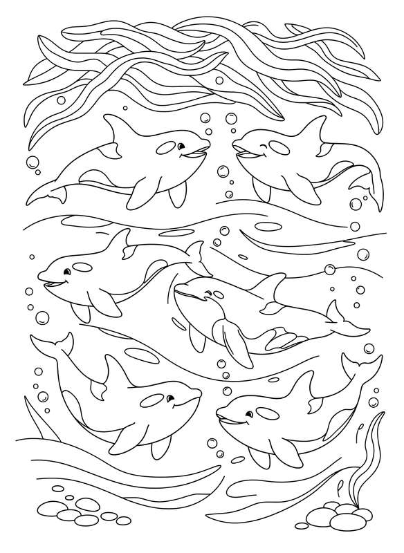 Orca Pod Cruise Under Seaweed