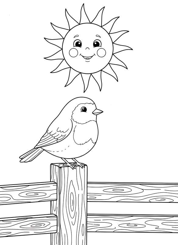 Robin's Morning Watch