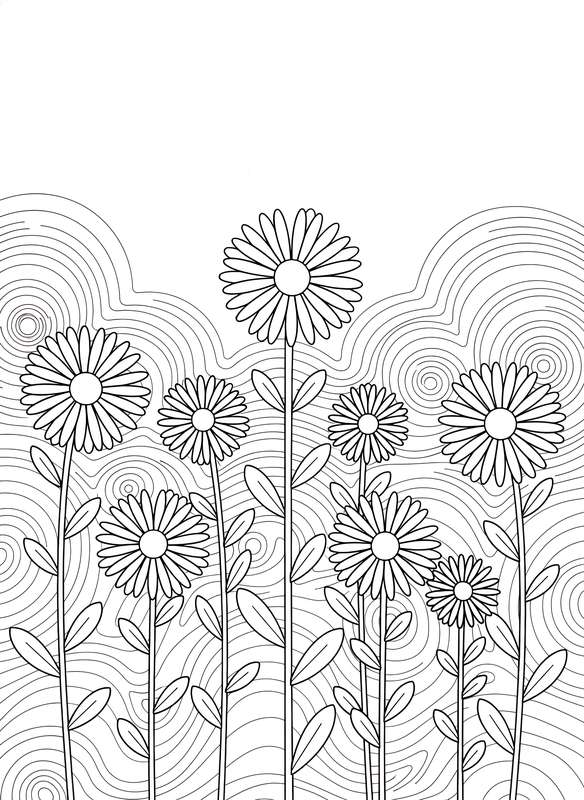 Tall and Proud: The Daisy Lineup