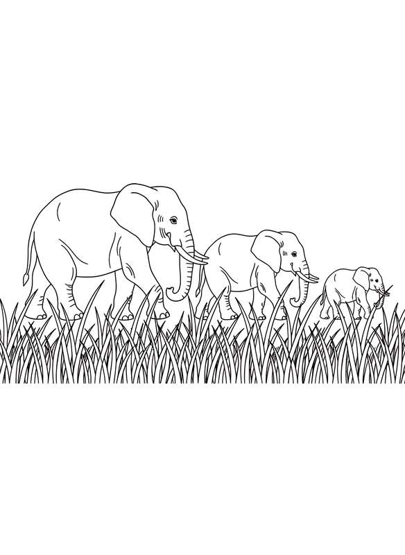 Elephant Caravan Through Grass