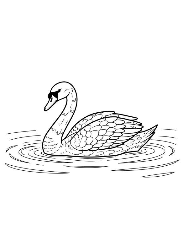 Swan's Serene Glide on Water