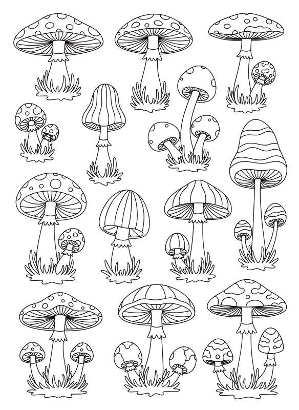 Mushroom Shape Practice Toolkit
